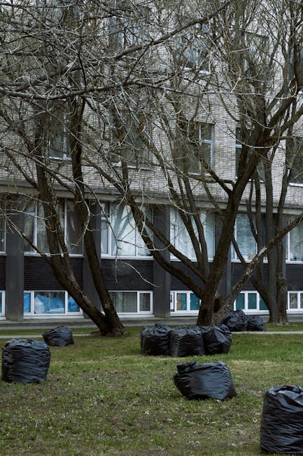 A row of multiple black plastic rubbish bags filled with waste are arranged on a grassy area in front of a residential building, which has a grey brick facade and large windows with white frames. The bags are placed on the ground, some near the base of leafless trees with twisted branches, suggesting a winter or early spring setting. The scene appears to be an outdoor space, possibly a communal garden or yard, where waste has been collected for disposal. The trees cast minimal shadows, and the lighting indicates an overcast sky. The presence of the rubbish bags aligns with private waste collection or on-site clearance services provided by companies like Rubbish Removal Harringay, supporting alternative waste handling methods outside of local authority collection. The environment is clean, though the bags indicate ongoing rubbish removal or garden waste clearance work. Overall, this image depicts an organized effort for waste disposal in an urban residential context, reflecting typical steps involved in rubbish removal services.