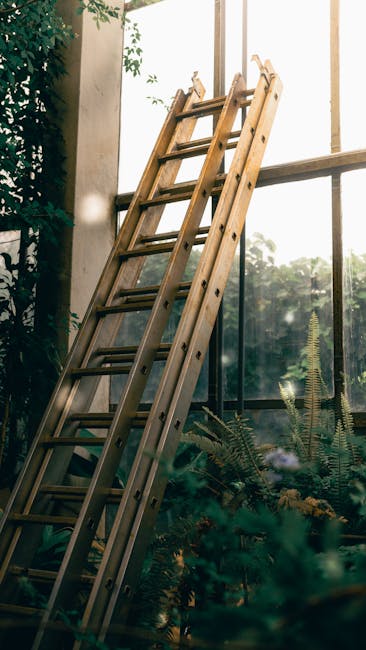 The image depicts a tall, wooden step ladder leaning against a large window with a metal frame, which allows abundant natural light to illuminate the scene. The ladder is made of unfinished, light-colored wood with visible grain and multiple evenly spaced rungs that show signs of use. It is situated in an indoor space, possibly a greenhouse or a garden room, surrounded by lush greenery, including ferns and other potted plants positioned at the base and around the window area. The outdoor environment visible through the window suggests a garden or natural landscape. The natural light streaming in creates soft shadows on the ladder, emphasizing its texture and the wooden finish. The scene, by showcasing the ladder in a setting with greenery and natural light, subtly relates to concepts of indoor plant care, home improvement, or independent maintenance tasks often associated with rubbish removal or clearing services by companies like Rubbish Removal Harringay, who may assist with clearing garden or indoor waste disputes or projects involving such equipment and spaces.