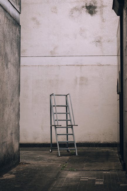 A tall, silver aluminium step ladder with four steps and a top platform, positioned outdoors against a backdrop of dense, dark green foliage and shrubbery. The ladder's rungs have a textured surface for grip, and a safety strap is loosely secured around the lower part of the ladder, indicating it may be used for maintenance or access purposes. The environment appears to be a garden or backyard area with natural daylight illuminating the scene, highlighting the ladder's metallic finish and the surrounding foliage. This scene relates to private waste handling or on-site clearance, which Rubbish Removal Harringay's services may support through alternative rubbish collection options. The overall setting is neat, with no visible clutter or debris around the ladder, emphasizing a straightforward outdoor scene suitable for rubbish or equipment removal preparations.